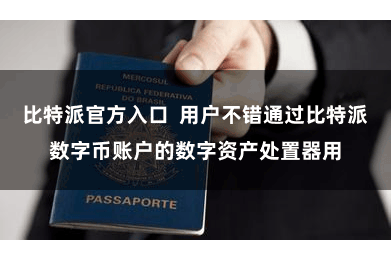 比特派官方入口  用户不错通过比特派数字币账户的数字资产处置器用
