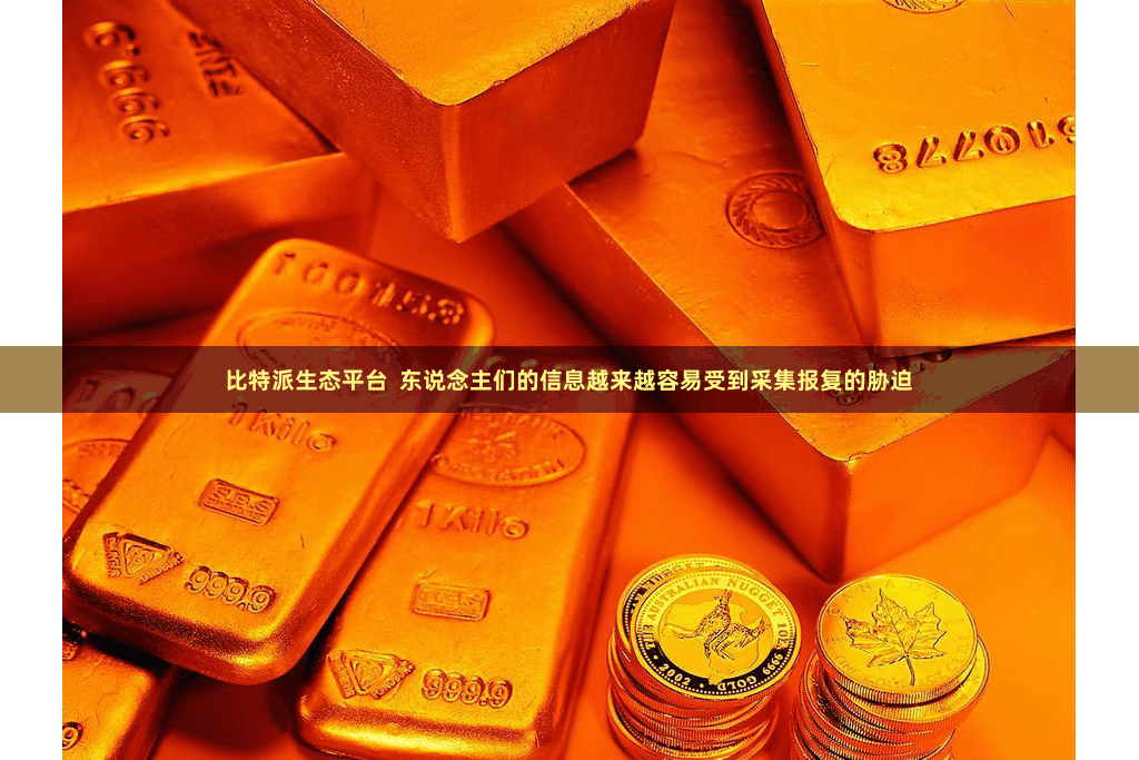 比特派生态平台  东说念主们的信息越来越容易受到采集报复的胁迫